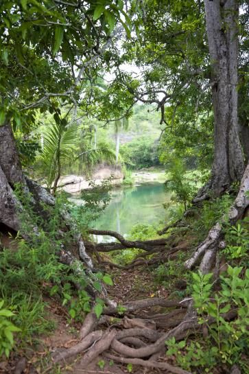 Charco Redondo, Cuba Embracing Natural Beauty, Cuba Nature, Cuba People, Havanna Cuba, Brushing Hair, Secret Place, Vinales, Havana Cuba, Photo Of The Day