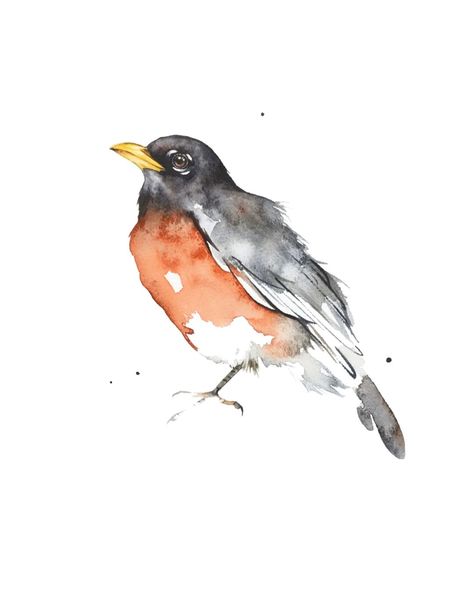 Painted Wing (@painted_wing) • Instagram photos and videos Watercolor Robin, Robin Drawing, Learn Watercolor Painting, American Robin, Learn Watercolor, Robin Bird, Loose Watercolor, Watercolor Bird, Wild Birds