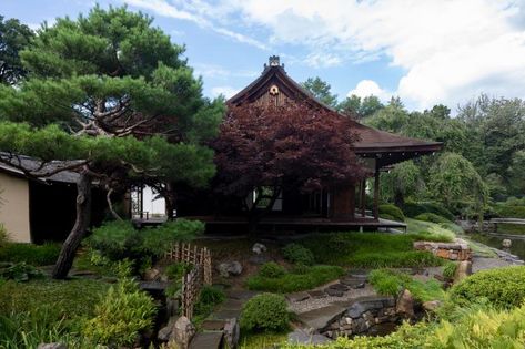 A Philadelphia exhibition explores the relationship between the Japanese architecture, the Shofuso house and Modernism Japanese House Garden, Natural Pond, House And Garden, Japanese American, Three Children, Pink Cherry, Japanese Architecture, Garden Tours, House Garden