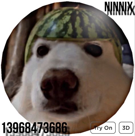 Card Des, Watermelon Dog, Dog Profile, Roblox Items, Code Roblox, Roblox Shirt, Roblox Outfit, Cute Easy Drawings, Roblox Codes