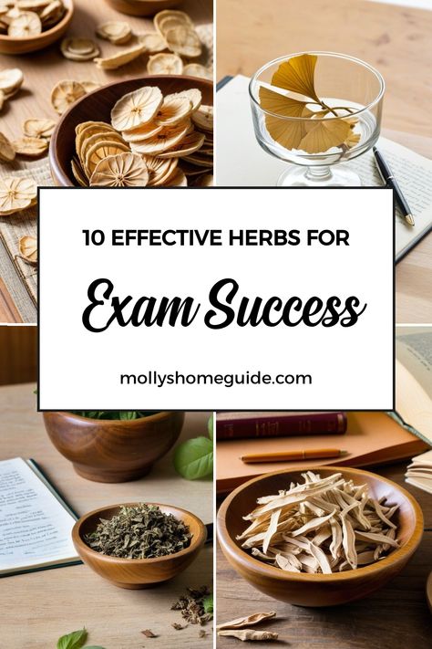 Discover the power of herbs and spells for exam success with our collection of rituals and intentions. From academic success spells to concentration rituals, our tools can help you achieve your goals. Utilize the magic of nutmeg in your practice to enhance manifestation and prosperity. Crush that upcoming physics exam with a specially crafted sachet or try an herbal spell to boost work success. Embrace the energy of success and let it guide you towards achieving your dreams. Success Spells, Before Exam, Tulsi Tea, Exam Success, Brain Booster, Work Success, Improve Cognitive Function, Holy Basil, Peppermint Tea