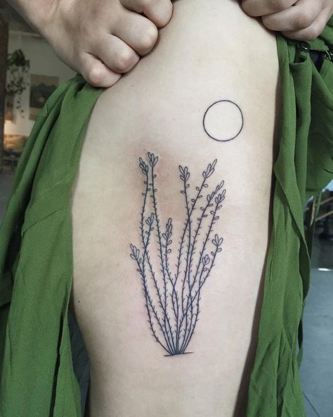 9,805 Likes, 48 Comments - Tea (@tealeigh) on Instagram: “Ocotillo for Brooke who traveled from my home town of Denton Tx ” Ocotillo Cactus Tattoo, Desert Plants Tattoo, Desert Floral Tattoo, Desert Plant Tattoo, Ocotillo Drawing, Desert Flowers Tattoo, Ocotillo Tattoo, Desert Tattoo Sleeve, Desert Flower Tattoo