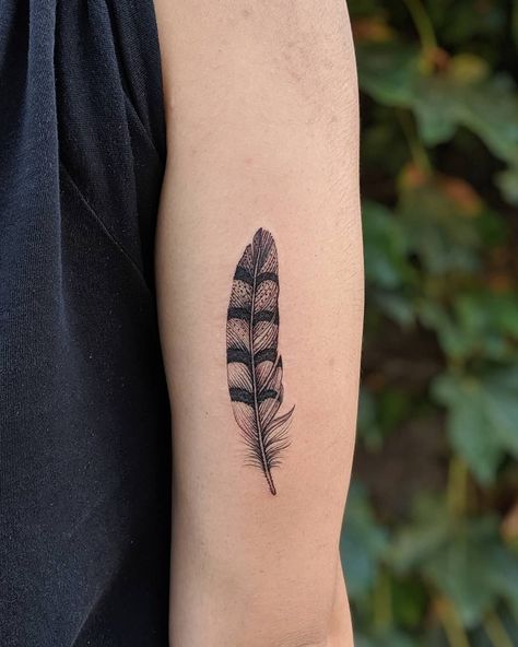 Quail Feather Tattoo, Owl And Feather Tattoo, Turkey Feather Tattoo For Women, Falcon Feather Tattoo, Abstract Feather Tattoo, Feather Tattoo On Arm, Western Feather Tattoo, Duck Feather Tattoo, Pheasant Feather Tattoo