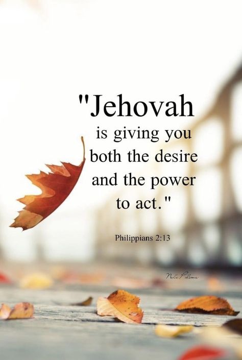 Jw Inspirational Quotes, Jw Scripture Quotes, Pioneer Quotes, Jehovah Paradise, Scriptural Quotes, Jw Encouragement, Encouragement Strength, Jw Bible, Jehovah Quotes