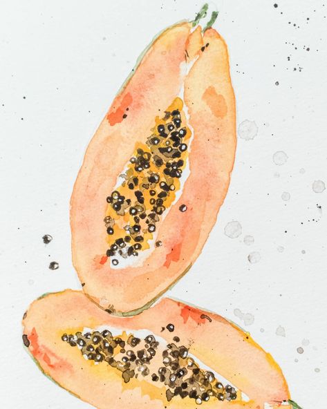 watercolor papaya Papaya Painting, Functional Nutrition, Pen And Wash, Art Activities For Kids, Botanical Watercolor, Sketchbook Inspiration, Art Activities, Papaya, Art Projects