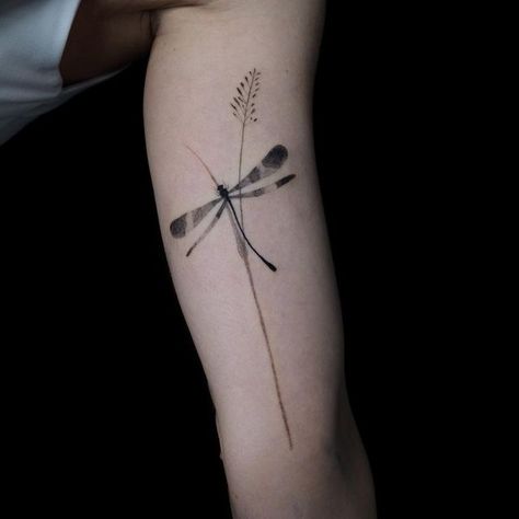 Axel Ejsmont on Instagram: "Dragonfly——————————————————— next booking for September-December on 1.08 ——————————————————— #collagetattoo #botanicaltattoo #botanicaltattooing #planttattoo #axelejsmont #berlintattooart #tattrx #btatttoing #inkstinct #bodyartmag #taot #berlintattoos #willsubmission #berlitattoo #dotworktattoo #theblackmasters #femaletattooartist #singelnadeltattoo #dotwork #abstracttattoo #berllintattoo Founder of @liga.tattoo / Berlin" Dragonfly Abstract, Collage Tattoo, L Tattoo, Plant Tattoo, Female Tattoo Artists, Botanical Tattoo, Dot Work Tattoo, Abstract Tattoo, Compass Tattoo