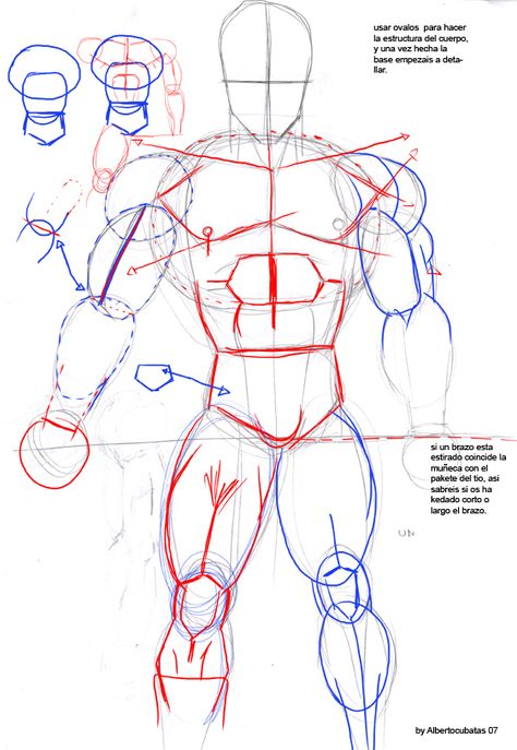 Anatomia de Dragon Ball by albertocubatas on DeviantArt Dragon Ball Drawing Reference, How To Draw Dragon Ball, Dragon Ball Drawing, Dbz Drawings, Goku Drawing, Ball Drawing, Human Anatomy Drawing, Human Figure Drawing, Dragon Ball Super Art