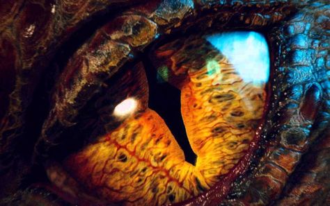 Smaug's eye I See Fire, Here Be Dragons, Dragon Eye, Jrr Tolkien, Gandalf, Legolas, Dark Lord, Blender 3d, Eye Art