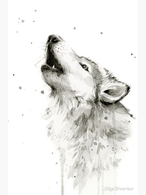 "Wolf Howling Watercolor" Photographic Print by olga-shvartsur | Redbubble Wolf Watercolor, Wolf Art Print, Watercolor Wolf, Watercolor Paintings Of Animals, Wolf Illustration, Wolf Painting, Wolf Drawing, Howling Wolf, White Wolf