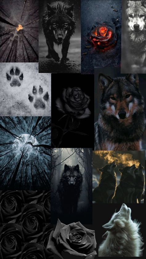 I love wolves and i made this so other people can see that wolves are indeed beautiful in their own way Wolves Aesthetic, Werewolf Aesthetic, Android Wallpaper Dark, Anime Picture Hd, Red And Black Wallpaper, Wolves And Women, Wolf Photos, Music Collage, Wolf Wallpaper