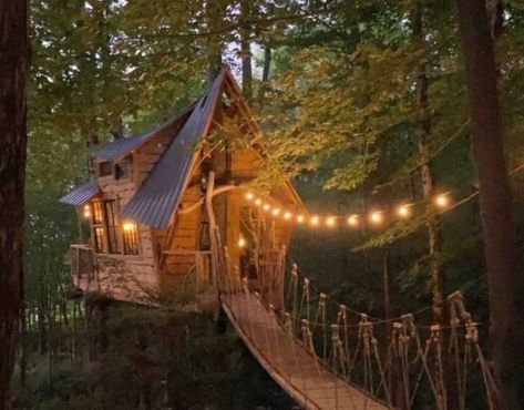 Big Treehouse, Cedar Hot Tub, Waterfall Photo, Cool Tree Houses, Cloud Photos, Forest Photos, Farm Photo, Mountain Photos, Best View