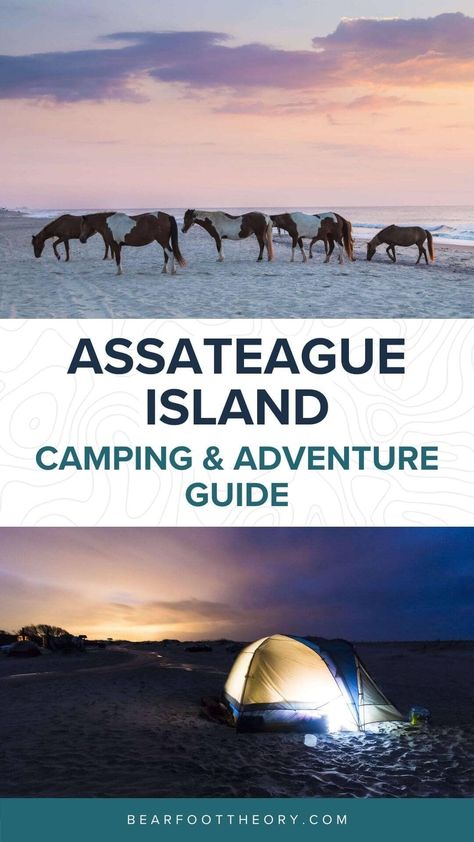 Travel Montenegro, Island Camping, Assateague Island National Seashore, Chesapeake Bay Bridge, Assateague Island, Adventure Ideas, Backcountry Camping, Birthday Trip, Adventure Guide