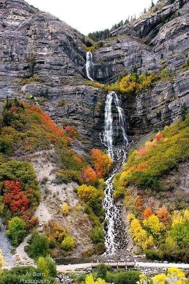 Bridal Veil Falls, Utah Bridal Veil Falls Utah, Waterfall Pictures, Bridal Veil Falls, Nature Scenery, Fairy Queen, Autumn Scenes, Autumn Scenery, Hotel Resort, Beautiful Places Nature