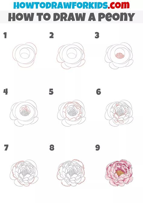 How to Draw a Peony - Easy Drawing Tutorial For Kids Draw A Peony, Peony Drawing, Peony Illustration, Doodle Art Flowers, Flower Drawing Tutorials, Easy Drawing Tutorial, Drawing Tutorials For Kids, Peony Painting, Flower Art Drawing