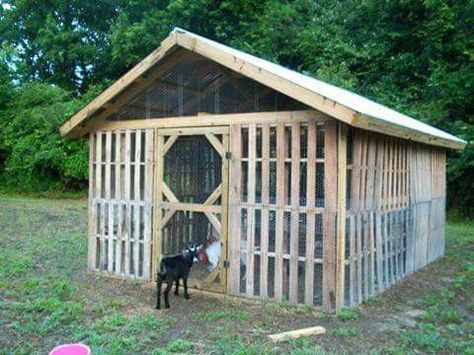 Made out of pallets Pallet Chicken Coop Diy Plans, Chicken Run From Pallets, Diy Goat Pen Door, Chicken Coop Made Out Of Pallets, Diy Chicken Coop Pallets, Chicken Coop Out Of Wood Pallets, Diy Turkey Coop, Pallet Goat Shed, Chicken Coop Out Of Pallets How To Build