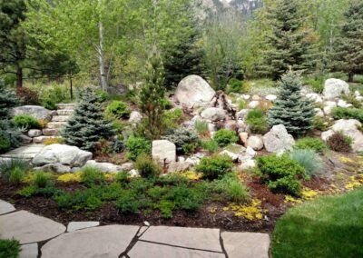 Xeriscape Landscaping Colorado, Colorado Xeriscape, Landscaping Colorado, Colorado Landscaping, Xeriscape Front Yard, Xeriscape Plants, Spring Landscaping, Planting Vines, Xeriscape Landscaping