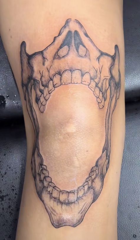 Jaw Bone Tattoo Knee, Skeleton Jaw Knee Tattoo, Skeleton Jaw Tattoo, Jaws Knee Tattoo, Dog Jaw Bone Tattoo, Human Jaw Tattoo, Knee Jaw Tattoo, Teeth Around Knee Tattoo, Teeth Knee Tattoo