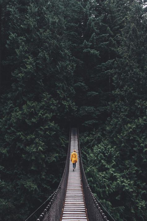 . Suspension Bridge Vancouver, Lynn Canyon Suspension Bridge, Pnw Aesthetic, Pastel Nature, Lynn Canyon, Nomad Lifestyle, Suspension Bridge, Anniversary Trips, Adventure Photography