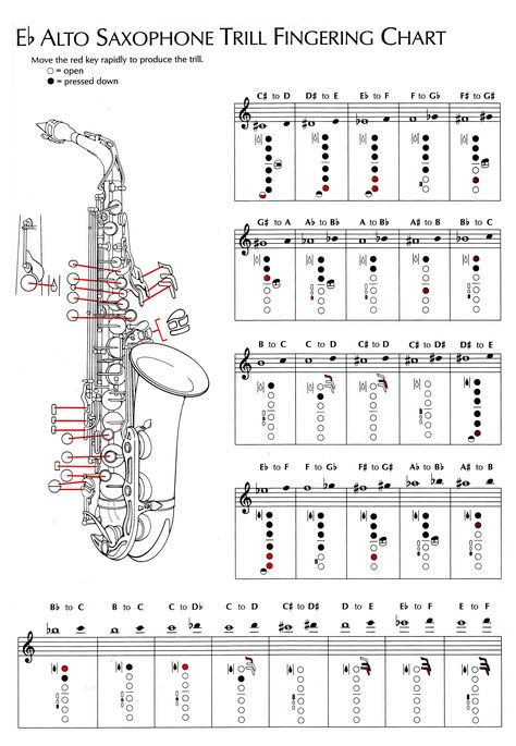 buffet sax finger chart free | Alto Saxophone Keys Chart Instrument fingering charts ... Bari Sax Sheet Music, Alto Saxophone Fingering Chart, Saxophone Notes, Alto Saxophone Music, Saxophone Fingering Chart, Alto Sax Sheet Music, Sax Music, Popular Piano Sheet Music, Alto Saxophone Sheet Music