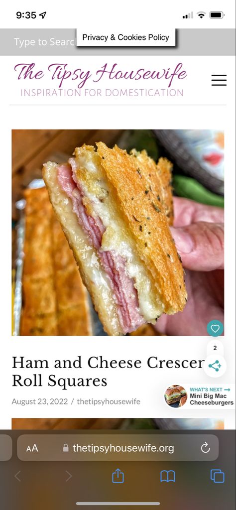 Ham And Cheese Crescent, Crescent Roll Sheet, The Tipsy Housewife, Tipsy Housewife, Cheese Crescent Rolls, Crescent Roll, Provolone Cheese, Stuffed Banana Peppers, Great Appetizers