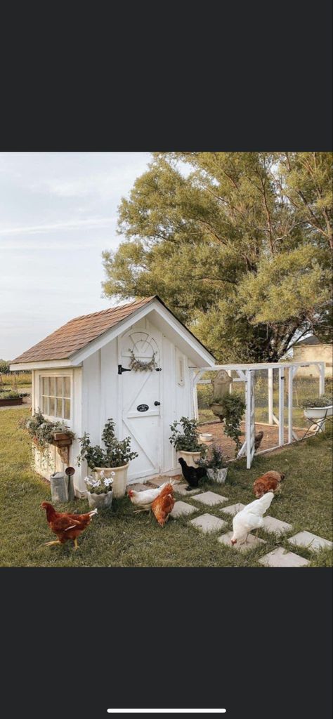 Fancy Chicken Coop, Heritage Chicken Breeds, Hen Coop, Cute Chicken Coops, Victorian Greenhouse, Chicken Coop Garden, Biggest Chicken, Chicken Coup, Fancy Chickens