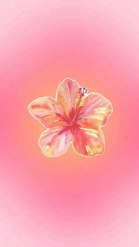 Hibiscus Flower Wallpaper Aesthetic, Hibiscus Wallpaper, Jelly Wallpaper, Phone Wallpaper Boho, Cute Summer Wallpapers, Phone Wallpaper Pink, Wallpaper Iphone Summer, Simple Iphone Wallpaper, Preppy Wallpaper