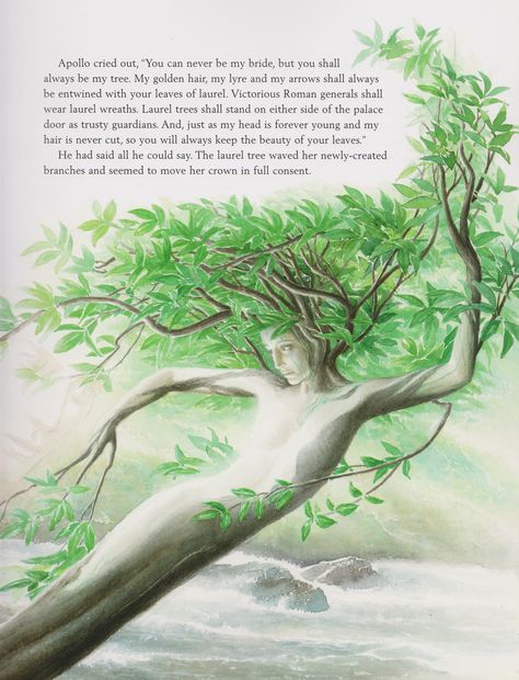 "The Nymph Daphne Transformed Into a Laurel Tree" by Alan Lee. Date unknown. --- features Daphne becoming a tree thanks to her father after she cries out for help because Apollo is pursuing her. The quote from Book 1 is listed above Daphne. This plays on the obvious theme of transformation within metamorphoses. Ovid features physical obvious transformations, such as this one with Daphne. It is also interesting to note than many transformations are motivated by love. Daphne Laurel Tree, Daphne Mythology, Metamorphoses Ovid, Ovid's Metamorphoses, Tree Nymph, Myth Stories, Ovid Metamorphoses, Laurel Tree, Alan Lee