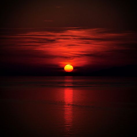 red sunset Sunset Images, Image Nature, Red Sunset, Sunset Wallpaper, Red Sky, Sunset Pictures, Sunset Sky, Red Aesthetic, Sky Aesthetic