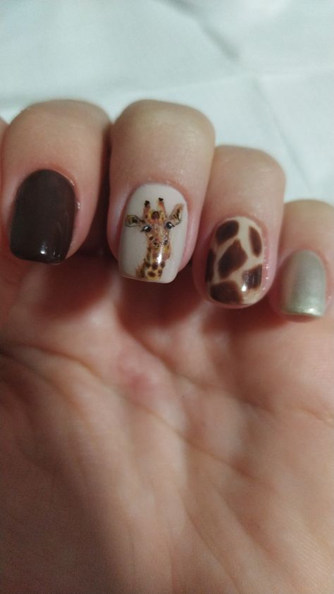 Hand with palm facing up and four nails bent over showing a dark brown on the index fingernail, a realistic hand painted giraffe face on a nude background on the middle nail.A giraffes fur pattern on the ringfinger nail and a shimmery champagne colour on the pinkyfingernail. The cuticles are clean and the glossy, overlay is smooth. Giraffe Nails Acrylic, African Safari Nails, Giraffe Nails Designs, Jungle Theme Nails, Giraffe Print Nails, Giraffe Nail Art, Elephant Nails, Giraffe Nails, Safari Nails