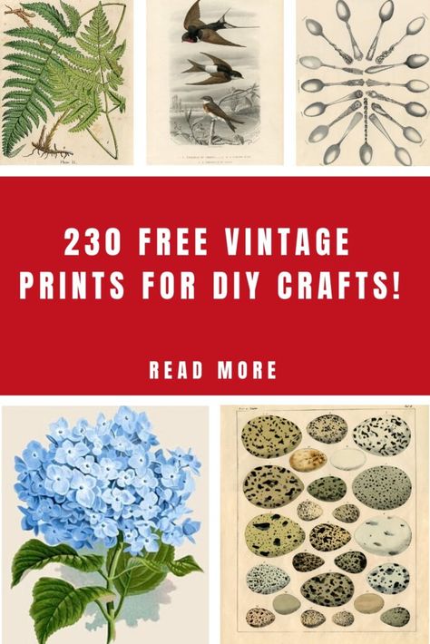 Vintage Art Deco Prints, Dollhouse Wall Art Free Printables, Decopage Prints Free Printable, Free Victorian Printables, Vintage Clip Art Free Printables, Decoupage Vintage Printables Free, Free Vintage Printables Public Domain, Free Printable Wall Art Vintage, Ephemera Free Printables