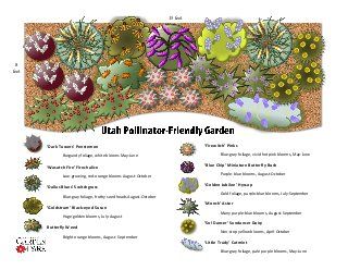 Pollinator friendly garden plan Utah Gardening, Waterwise Landscaping, Pollinator Garden Design, Xeriscape Front Yard, Trees For Front Yard, Butterfly Garden Design, Bee Friendly Garden, Garden Design Plans, Pollinator Garden