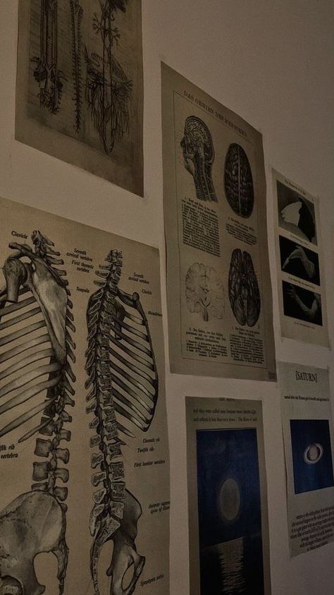 Medicine Poster Aesthetic, Med School Aesthetic Wallpaper Ipad, Osteology Aesthetic, Medical Aesthetic Dark, Med Student Room, Medical Aesthetic Wallpaper, Anatomy Wallpaper Aesthetic, Nurse Aesthetic Wallpaper, Aesthetic Anatomy