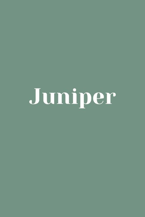 Juniper Name Aesthetic, Juniper Name, J Baby Names, Child Names, Country Cottagecore, J Names, Sweet Baby Names, Baby Girl Name, Girl Name