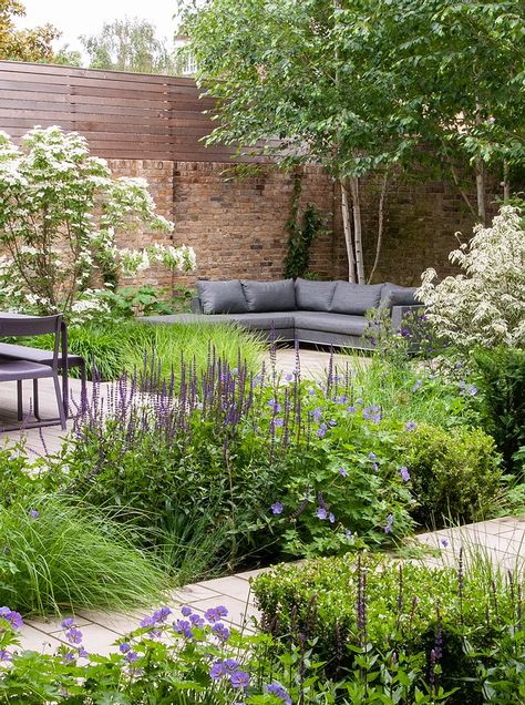 Town Garden Design, Contemporary Garden Planting, Modern Woodland Garden, Modern Garden Planting Ideas, Town Garden Ideas, Front Garden Planting Ideas, Front Garden Planting, Contemporary Planting, Small Front Garden Ideas