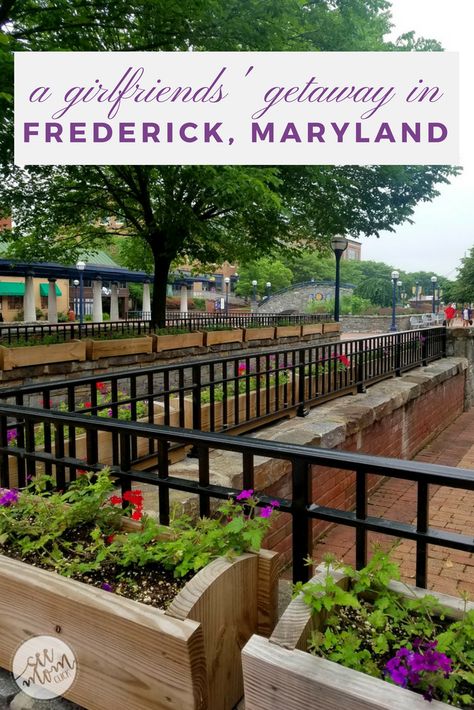 Frederick Maryland Things To Do, Day Trips In Pa, Maryland Day Trips, Maryland Vacation, Unique Shops, Cute Town, Vacation House Plans, Babysitting Fun, Girlfriends Getaway