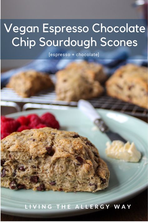 Chocolate Chip Sourdough, Sourdough Scones, Sour Cream Scones, Vegan Scones, Chocolate Scones, Chocolate Pairings, Chocolate Espresso, Scone Recipe, Sourdough Recipes