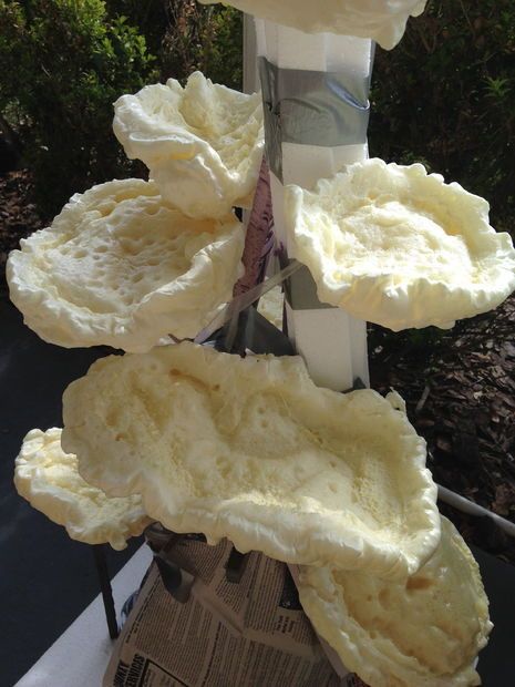 Spray Foam Coral Making Coral Reef, Paper Mache Coral Reef, Spray Foam Coral Reef, Scuba Vbs Stage Decorations, Spray Foam Coral, Glow In The Dark Under The Sea, Under The Sea Dance Decorations, Moana Props, Spray Foam Crafts