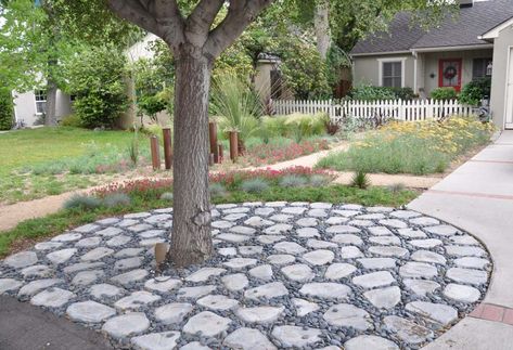 Rock Circle for Tree Tree Circle Landscape, California Native Landscape, Presentation Sample, Trees Landscaping, Blue Fescue, Slideshow Presentation, Future Garden, Sustainable Landscaping, Evergreen Plants