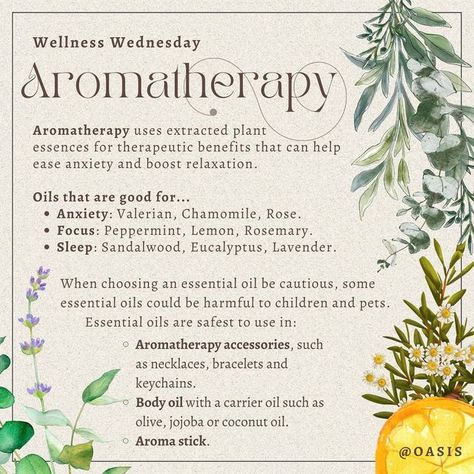 CSUN Oasis Wellness Center on Instagram: "This Wellness Wednesday, lets learn about aromatherapy and what essential oils could be best used for! . . . . #aromatherapy #essence #serenity #essentialoils #wellness #wellnesswednesday #oasis #oasiswellness #oasiswellnesscenter #csun #csunmatadors #northridge #csunusu #usu #selflove #selfcare #lavander" Aromatherapy Accessories, Wellness Wednesday, Valerian, Wellness Center, Carrier Oils, Body Oil, Peppermint, Aromatherapy, Oasis