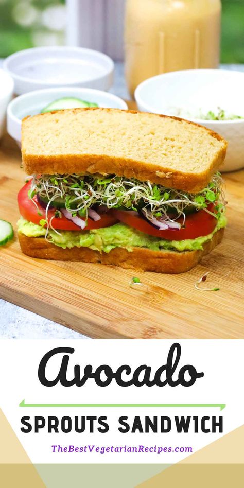 New to the vegetarian lifestyle? Don't fret! We've got you covered with an easy step-by-step guide to making the perfect Avocado Sprouts Sandwich right at home. From choosing the ripest avocados to learning how to sprout your own seeds, discover the art of making this refreshing and nourishing sandwich from scratch. Get this sandwich recipe and more at thebestvegetarianrecipes.com! Pesto Avocado Sandwich, Sandwich With Sprouts, Plant Based Sandwich, Sprouts Sandwich, Sprout Sandwich, Bean Sprout Recipes, Homemade Whole Wheat Bread, Vegetarian Sandwich Recipes, Healthy Sandwich