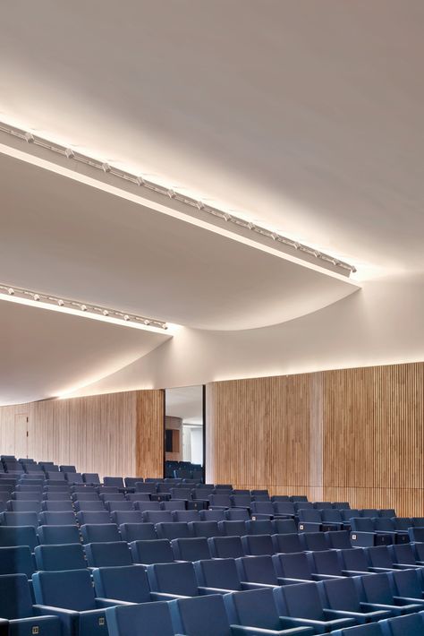 Gallery of Tailor - Made Office / Twobo arquitectura - 39 Lobby Lighting Design, Ballroom Design, Acoustics Design, Theatre Hall, Meeting Hall, Auditorium Design, 2022 Picture, Lectures Room, Interior Design Student