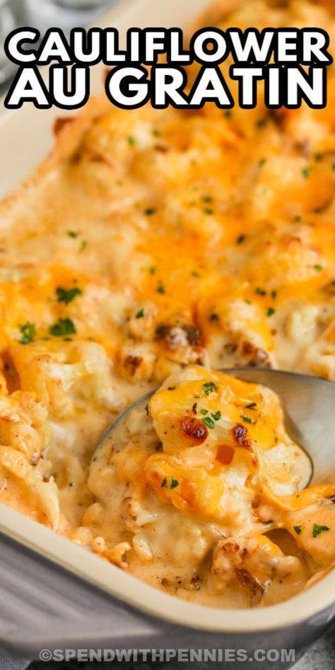 Cauliflower Au Gratin, Cauliflower Side Dish, Galveston Diet, Veggie Plate, Cauliflower Casserole Recipes, Au Gratin Recipes, Cauliflower Dishes, Easy Cauliflower, Baked Cauliflower