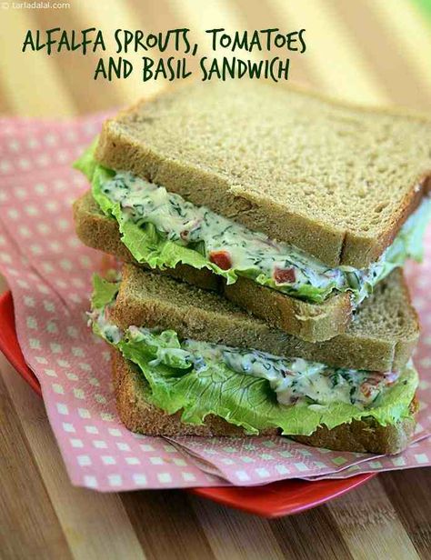 Alfalfa Sprouts, Tomatoes and Basil Sandwich recipe Alfalfa Sprouts Recipes, Basil Sandwich, Sprout Sandwich, Recipes Sandwiches, Sprouts Recipes, Homemade Mayo, Alfalfa Sprouts, Alfa Alfa, Sandwich Ingredients