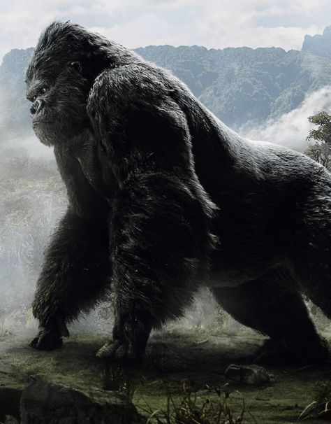 King Kong King Kong Wallpaper, King Kong Image, Kong Wallpaper, King Kong 2005, King Kong Skull Island, King Kong Movie, King Kong Art, Kong Godzilla, King Kong Vs Godzilla