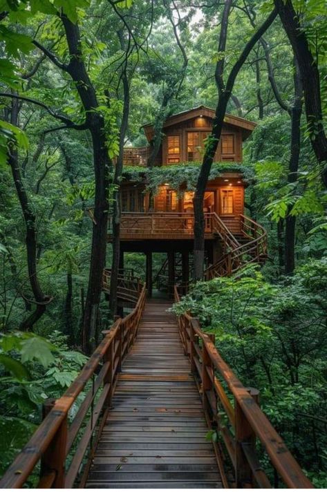 Treehouse Airbnb, Temple Spa, Interesting Houses, Beautiful Tree Houses, Tree House Designs, Forest House, Aesthetic Colors, Cool House Designs, Tiny House Design