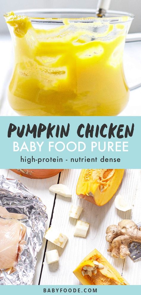 This Pumpkin Chicken Baby Food Puree is a delicious fall inspired recipe for baby. Made with pumpkin, chicken, parsnips and ginger for a fun and nutritious take on the tastes of the season. Great for 6+ months - stage 2 baby food. #babyfood #pumpkin #chicken #puree Homemade Baby Puffs, Homemade Baby Snacks, Stage 2 Baby Food, Homemade Baby Food Storage, Recipe For Baby, Pumpkin Chicken, Chicken Baby Food, Baby Food Puree, Teething Biscuits