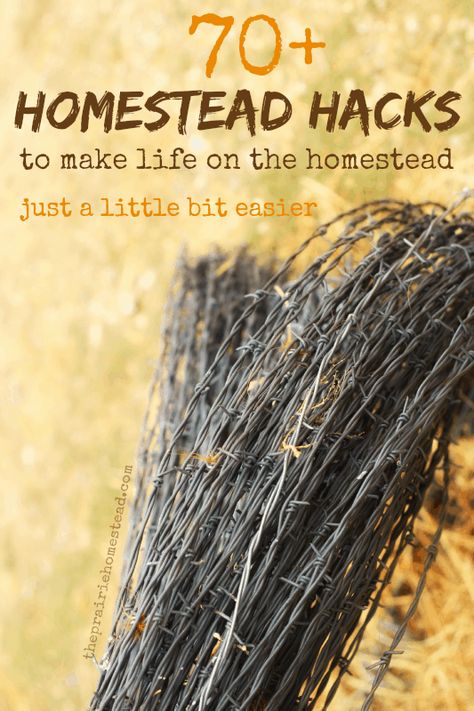 70+ Homestead Hacks | The Prairie Homestead Prairie Homestead, Homestead Farm, Homesteading Skills, Permaculture Design, Homestead Living, Urban Homesteading, Mini Farm, Living Off The Land, Homestead Survival