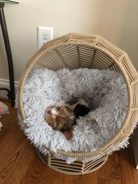 Cute Dog Furniture, Pet Beds Aesthetic, Cute Dog Bed Ideas, Puppy Bed Aesthetic, Preppy Dog Bed, Cat Corner Ideas Bedroom, Pet Corner Ideas Cats, Dog Setup In Bedroom, Dog Bed Aesthetic