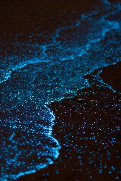 Phosphorescence Sea, Bioluminiscente Beach, Glowing Water Aesthetic, Bio Luminescence Beach, Biolumenesent Ocean, Black Light Ocean Theme, Bioilluminescent Sea, Avatar Bioluminescence, Deep Sea Plants