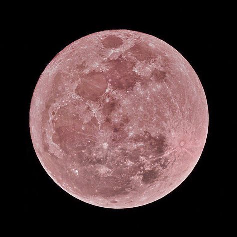 Asian Bratz, Pink Moon, April 13, Moon, Pink, On Instagram, Black, Instagram